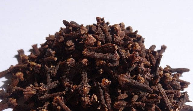 Klinčekovec korenistý / Klinček (Syzygium aromaticum)
