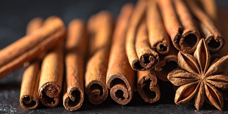 Škorica pravá (Cinnamomum verum)